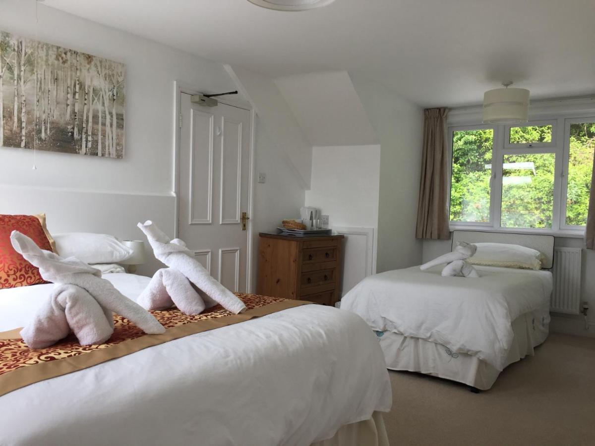 Silver Birch Guesthouse Looe Exterior photo
